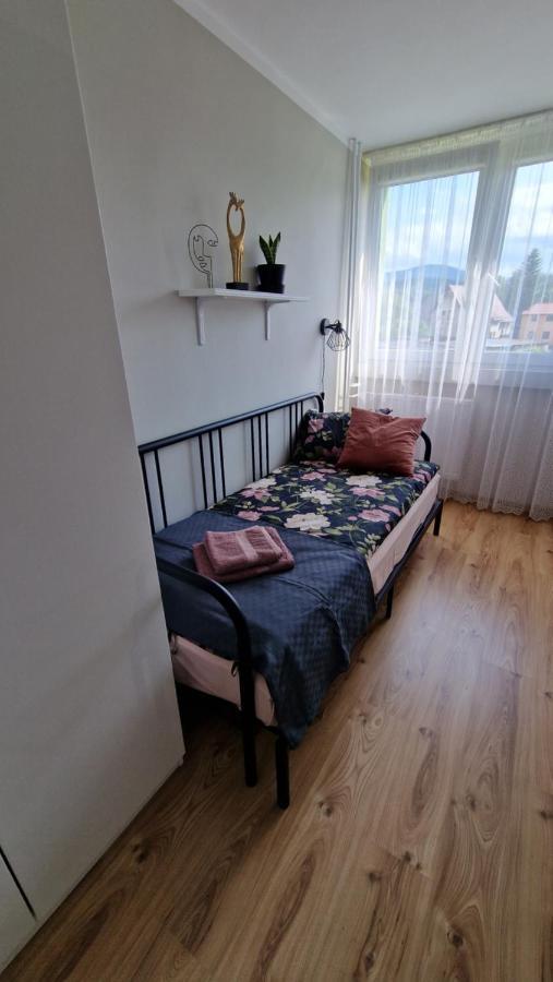 Apartamento Apartament Spoko-Loko Stronie Śląskie Exterior foto